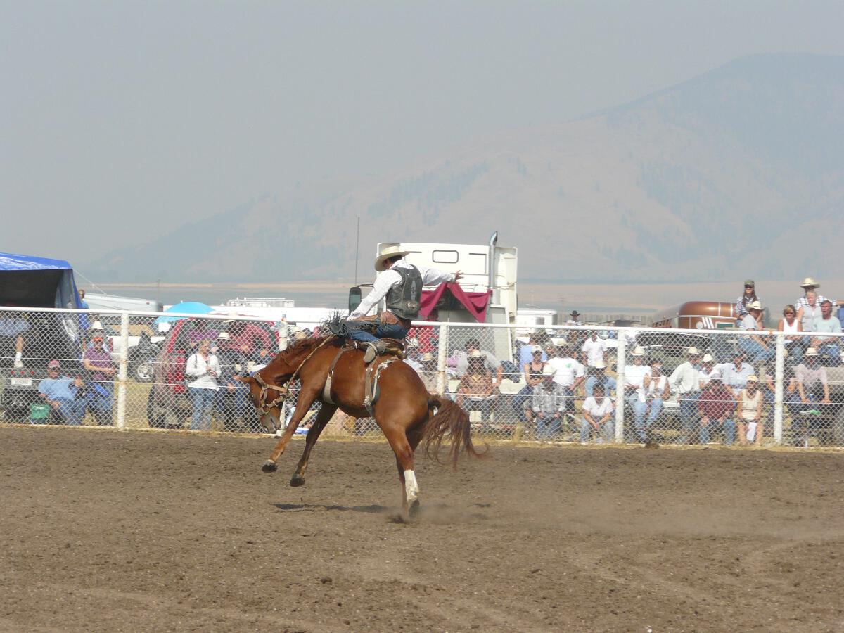 Saddle Bronc Riding at the Helmville Rodeo